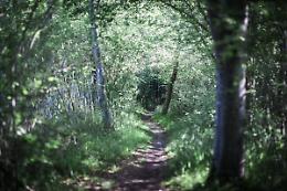 Savigliano: passeggiata tra natura e storia per la biodiversità