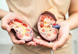 Tumori urologici, 87mila nuovi casi l’anno in Italia: come cambiano cure e qualità della vita