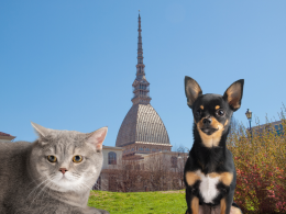 I torinesi spendono più di 1000 euro all'anno per gli animali domestici: il capoluogo piemontese supera la media nazionale