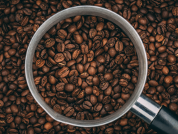 Il caffè si fa "vitaminico": Vergnano lancia il suo primo percorso funzionale