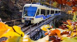 Il New York Times celebra il Treno del Foliage: la Ferrovia Vigezzina Centovalli tra i 5 viaggi autunnali imperdibili in Europa