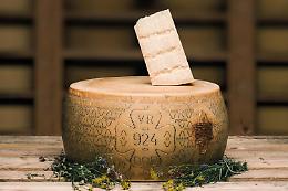 "Gran Riserva Italia", non è Grana Padano: Corte d’Appello di Torino condanna un caseificio per evocazione illecita della Dop