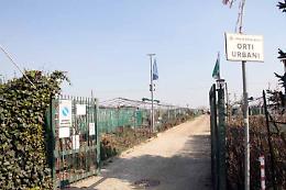 Grugliasco, un nuovo "Orto Urbano" per i cittadini
