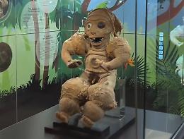 Dal XV secolo alla realtà aumentata: il cemí Taíno protagonista al Museo di Scienze Naturali