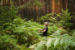 Il Mombarone tra natura e terapia: l'area si qualifica per l'immersione forestale