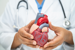 Giornata del cuore in Circoscrizione 6: controlli gratuiti per tutti i cittadini