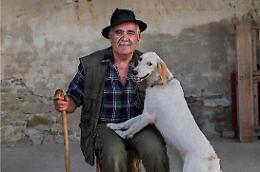 Il podcast tutto piemontese sulla ricerca del tartufo: arriva “Trifulau”