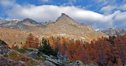 Dal giallo dei larici al rosso dei faggi: lo spettacolo del foliage arriva al Gran Paradiso
