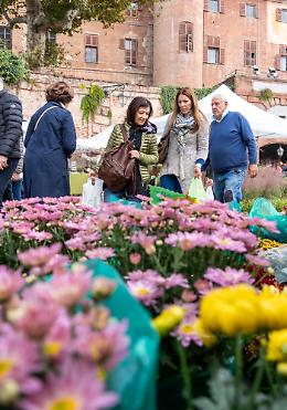 Fiorile torna al Castello di Moncalieri con l’edizione autunnale dedicata al crisantemo