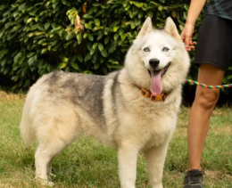 Fuggita da un brutto passato, le è stato scoperto un tumore: la storia di Nuvola