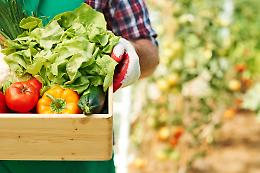 Al via il progetto "Chieri Include": dieci candidature aperte per un progetto di agricoltura sociale