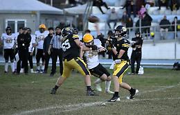 Giaguari, ottimo debutto dell'Under 18 campione in carica: Lions ko