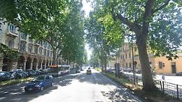 Torino diventa più verde con 2.500 nuovi alberi nei viali della città