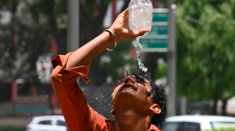 Il 2024 è stato l'anno più caldo di sempre: dal record delle temperature oceaniche agli incendi record in Europa