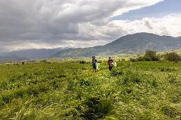 Keep Clean and Run, raccolti 500 chili di rifiuti lungo la Via Francigena del Sud