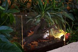 Halloween 2025 continua a Zoom