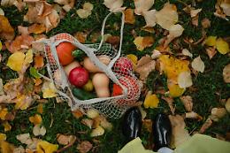 Spesa di novembre: i prodotti di stagione tra frutta, verdura e pesce