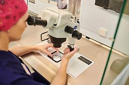 Prima gravidanza ottenuta con l’IA dopo 19 anni di tentativi