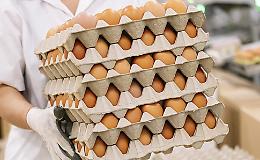Allerta alimentare: ritirate uova biologiche per sospetta contaminazione