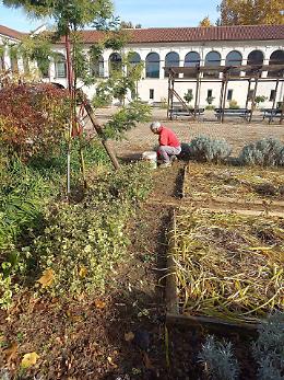Torino, volontari in azione per la manutenzione del verde alla Cascina Giaione