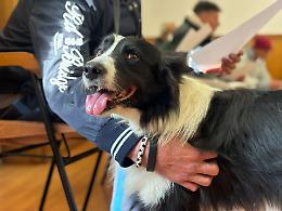 «Voglio guarire per abbracciare il mio cane»