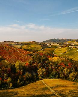 Scopri la passeggiata autunnale più silenziosa e suggestiva del Piemonte