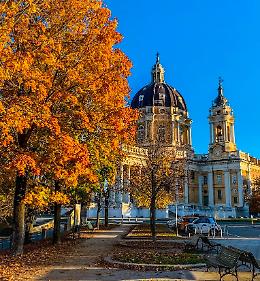 Passeggiata nel bosco da Torino: ecco 5 sentieri a un passo dalla città