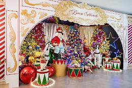 Torna la solidarietà di Natale con gli Amici della Fondazione Maria Teresa Lavazza