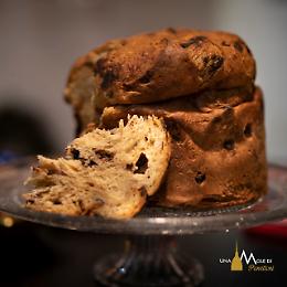 Una Mole di panettoni anche al cioccolato, ma quale sarà il più buono?