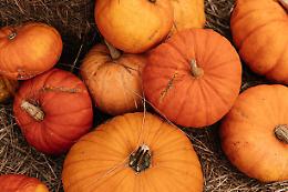 Sagra della Zucca a Santena