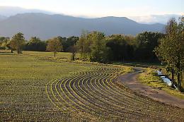 Ad Avigliana la terza edizione di “Piloni d’artista” tra natura e cultura