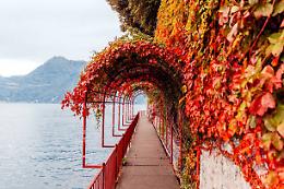 L’11 novembre si celebra San Martino, tra storia e tradizione popolare