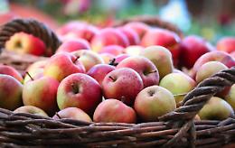 Ultimo weekend di "Tuttomele" a Cavour, la festa che porta colori nel paese