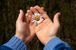 Giornata Mondiale della Gentilezza: piccoli gesti con un grande impatto (e la scienza lo conferma)