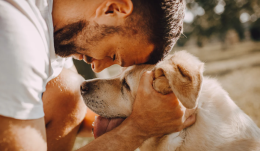 Torino da record: è la città con più cani d’Italia