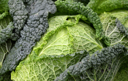 Cavolo nero, il superfood d’inverno che rinforza le difese e protegge le ossa: ecco come inserirlo nella tua dieta