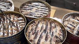 Gli acciugai del Piemonte: la storia che nessuno ti ha mai raccontato