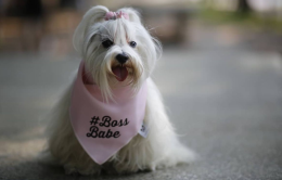 Eva, la maltesina (torinese) diventata influencer e modella