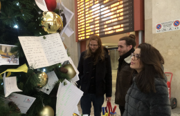 E' già Natale? A Torino "spuntano" alberi: ecco dove