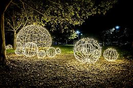Chieri accende il Natale: pista di pattinaggio, parate e una notte magica