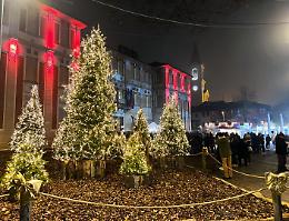 A Settimo arriva un bosco di Natale in mezzo alla città