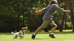 Torino, un albero per i cani che non ci sono pi&ugrave;: il faggio che unisce ricordi e persone