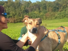 Salvata dalla strada: la storia di Venere