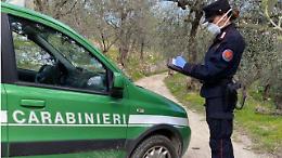 Interventi di sequestri e perquisizioni tra San Giorgio Canavese e Salbertrand: nel mirino depositi illegali di rifiuti