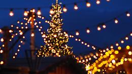 Alba, il Messiah di Händel illumina San Domenico: il potere della profezia