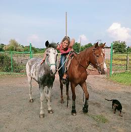 Tragedia a Nole: 38enne muore dopo una lite per l'acquisto di un cavallo
