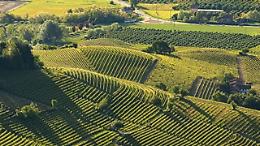 Vite di Langa e Roero, la memoria che fa comunità: Petrini e Tibaldi chiamano a raccolta i giovani