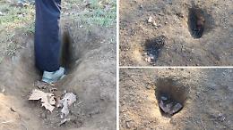 Voragini nell'area cani della Pellerina: «Vere e proprie trappole per animali e padroni»