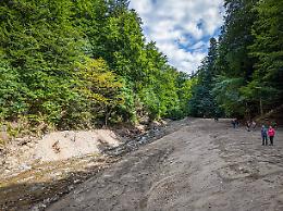 Cambiano: 80.000 euro per la “rivoluzione del verde”