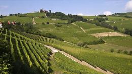 "Monferrato 2025", il primo rapporto che racconta l’economia di un territorio in ripartenza